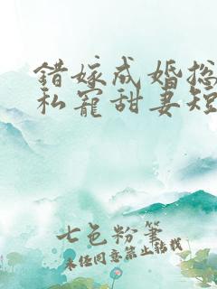 错嫁成婚总裁的私宠甜妻短剧在线观看