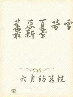 叶辰夏若雪孙怡最新章