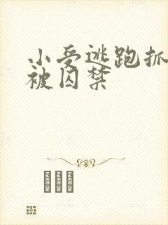 小受逃跑抓回来被囚禁