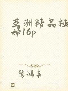 亚洲精品极品少妇16p