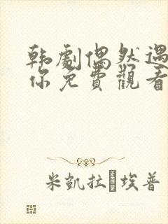 韩剧偶然遇见的你免费观看