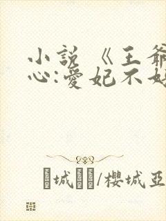 小说 《王爷当心:爱妃不好惹》