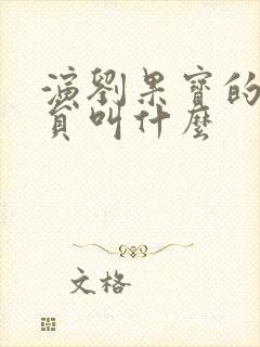 演刘果宝的小演员叫什么