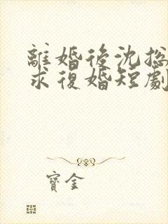 离婚后沈总天天求复婚短剧免费观看