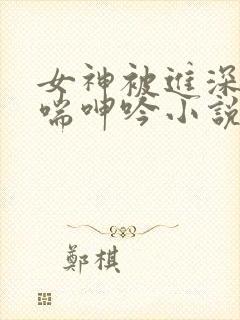 女神被进深处娇喘呻吟小说
