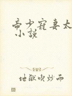 帝少宠妻太凶猛 小说