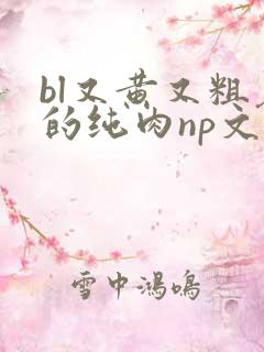 bl又黄又粗暴的纯肉np文