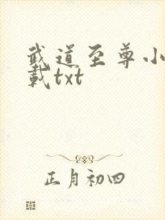 武道至尊小说下载txt