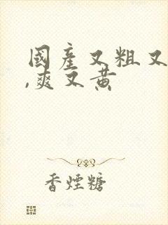 国产又粗又猛又,爽又黄