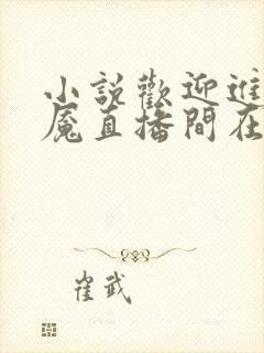 小说欢迎进入梦魇直播间在线阅读