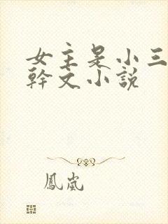 女主是小三的高干文小说