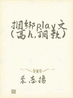 捆绑play文(高h,调教)