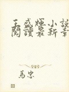 王盛辉小说免费阅读最新章节更新