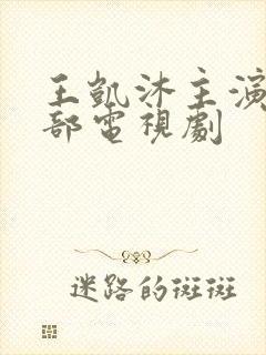 王凯沐主演的全部电视剧