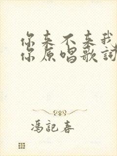 你来不来我都等你原唱歌词