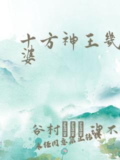 十方神王几个老婆