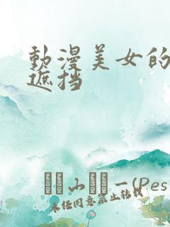 动漫美女的胸无遮挡