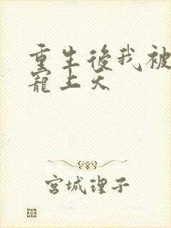 重生后我被大佬宠上天