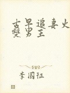 古早追妻火葬场双男主