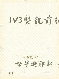 1V3双龙前后