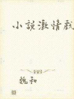 小说激情戏片段