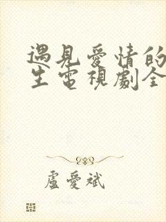 遇见爱情的利先生电视剧全集剧