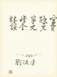 林峰宁欣官场小说全文免费阅读