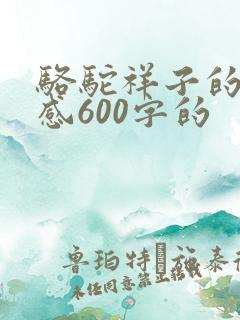 骆驼祥子的读后感600字的