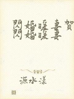 闪婚暖妻贺少的闪婚暖妻