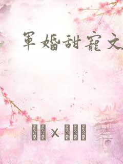 军婚甜宠文推荐