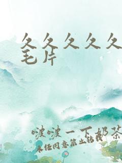 久久久久久久一毛片