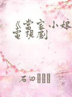 《当家小娘子》电视剧