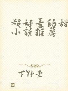 超好看的甜宠文小说推荐
