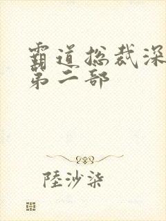 霸道总裁深度宠第二部