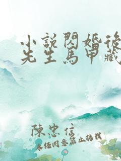 小说闪婚后,傅先生马甲藏不住了免费