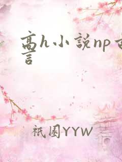 高h小说np古言