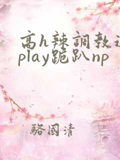 高h辣调教道具play跪趴np