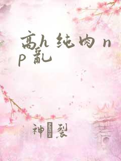 高h 纯肉 np 乱