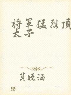 将军猛烈顶弄h太子