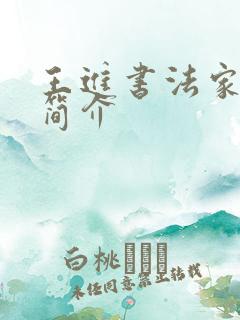 王进书法家艺术简介