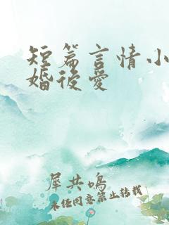 短篇言情小说先婚后爱