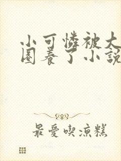 小可怜被大佬们圈养了小说免费阅读