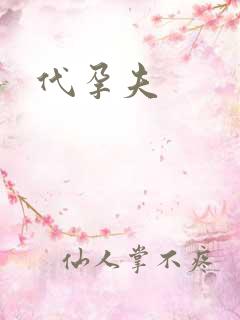 代孕夫