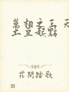 万相之王 天蚕土豆起点