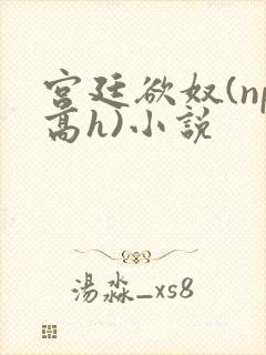 宫廷欲奴(np高h)小说