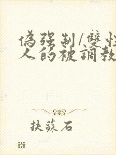 伪强制/双性美人的被调教简白