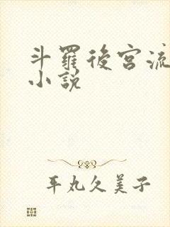 斗罗后宫流同人小说