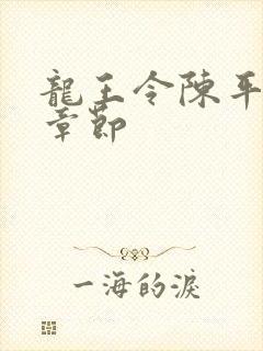 龙王令陈平全部章节