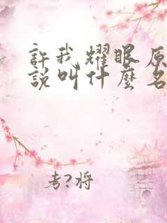 许我耀眼原著小说叫什么名字
