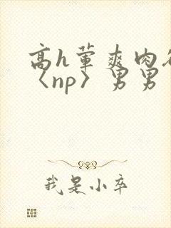 高h荤爽肉欲文〈np〉男男